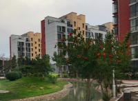 用爱和坚韧,播下一粒种子