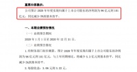 东方雨虹、江山欧派、三雄极光、北新建材等发布2020业绩预告