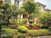 上海金山毕加索花园小镇 是什么?吸引人们眼球?