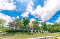 安吉港中旅售楼处电话多少?位置-楼盘详情-来电预约看房可享