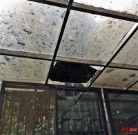 楼上飞物砸穿玻璃房 他把整单元业主告了 民法典实施后，法院这样判