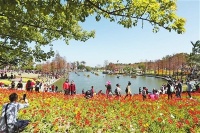 各大公园美景醉游人 片片花海与万千市民构成最美新春图