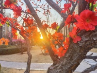 智慧护航年味不减 物企高效服务助力&ldquo;就地过年&rdquo;