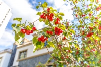 【上谷水郡】懂你生活的房子,懂你的向往