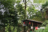 不负春光!快来这些名山赴一场登高寻春之旅&hellip;