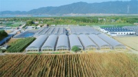 中国联塑多元蓄力赋能农业振兴，夯实“一号文件”落地基础