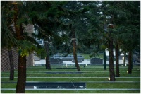 龙湖紫云赋低密墅区洋房，实景样板楼璀璨开放！