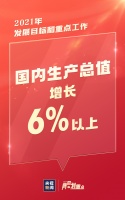 今年国内生产总值预期目标设定为6%以上