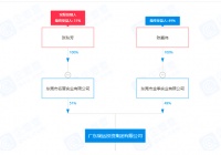 珑远集团：“架空”二代