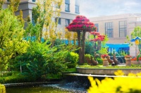 重磅头条!特惠3月,网上购房特大优惠燃爆来袭!