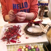 凤凰谷&middot;乐活小镇|遇见美好,不如一起创造美好