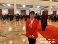 两会说文旅 | 产业旺 乡村兴&mdash;&mdash;几位人大代表的观点碰撞