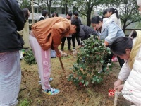 新晃贡溪中学:浪漫植树节,种下给学校的&ldquo;情书&rdquo;