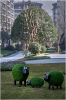 在春天的龙湖千山新屿洋房里，品味春日万般美好