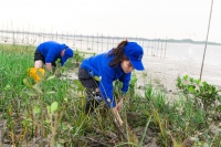 贝壳&ldquo;蓝海行动&rdquo;开展植树节活动 首期种植32000棵红树苗
