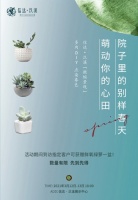 绿意流淌汣溪丨多肉君,来~我们谈谈人生