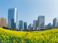 上海楼市:内行人深谈,2号线的房价格局!性价比最高竟是它!