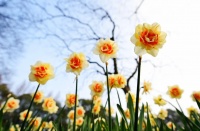 ​暴跌12&deg;C!杭州气温大反转!未来6天太难过了&hellip;&hellip;