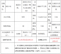 新鸿隆祥4.71亿元竞得温州市文成县一宗住宅用地 溢价率48.11%