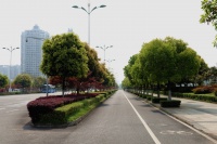 万物萌动又一春,携手泰和筑美好