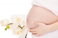 怀孕的人可以喝茶吗 怀孕喝什么茶好