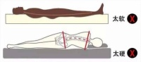东宝床垫呵护中老年人健康睡眠