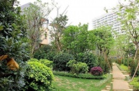 广州楼市:现在适合买房投资吗?买房者心急如焚