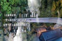 松江国贸佘山原墅为什么卖这么火,项目有什么优缺点?