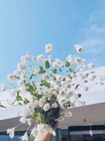 金科&middot;观天樾 | 情暖春日踏青季,等你来赴约