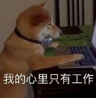 最新放假通知来了!