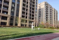 专注于改善人居,传递幸福佳音