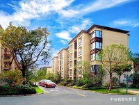 上海金山枫泾中冶墅境周边未来如何规划?有图有真相!-