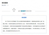 拆迁律师:未征得村民同意,数百亩耕地被强制种树,当地这么回应