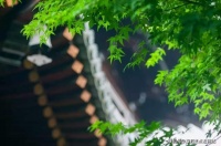 湖州安吉-绿城套环源售楼处电话-位置-最新房源-面积价格