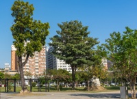 夯实基础、苦练内功,成就恒信精兵