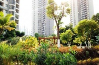 佛山楼市:千灯湖潜力巨大,投资客提前进场