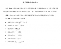 杨鑫正式加入索菲亚,任营销副总裁