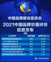 华美节能科技集团荣登2021中国品牌价值评选榜