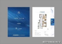 平湖九龙湾周边规划发生巨变鸿瑞九龙湾最新房价@