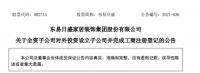 东易日盛全资子公司对外投资5000万设立子公司