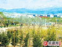 河马泉新区加快打造精品绿化样板景观区域