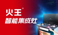 火王-广东集成灶知名品牌