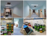 贝壳粉无机涂料或将开启人居新时代