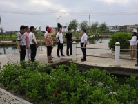 司马浦镇建立博士工作站 高端人才下沉服务基层