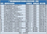 孙宏斌的西南战事