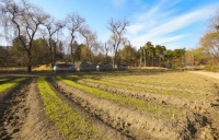 凯诺律师:土地征收是否合法从有没有征地批复就可以审查