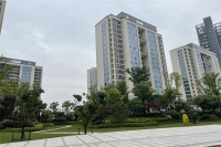 嘉兴南湖大树彩虹里-售楼处电话-地址-开盘-价格,楼盘新动态