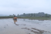 政策助力 农机引领 新农人&ldquo;当家&rdquo; 靖州粮食播种面积31万亩