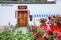 金辉林宇：金辉地产践行公益助农 振兴乡村彰显成效