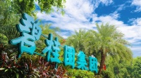 大象起舞，碧桂园的大智慧||中报